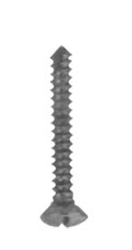 Orthopaedic Implants 整形外科器具