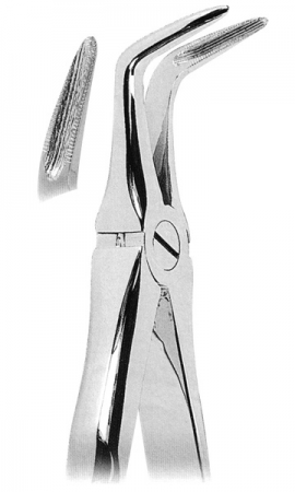 抜歯鉗子 With Anatomically Shaped Handle