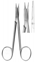 Oral, Delicate Scissors