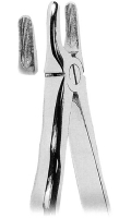 抜歯鉗子 With Anatomically Shaped Handle