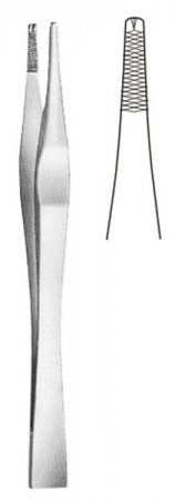 Toothed Dissecting 鉗子