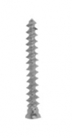 Orthopaedic Implants 整形外科器具