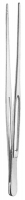 Serrated Dissecting 鉗子