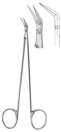 Oral Scissors