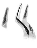 抜歯鉗子 With Anatomically Shaped Handle