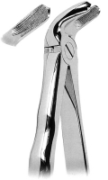 抜歯鉗子 With Anatomically Shaped Handle