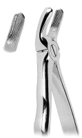 抜歯鉗子 With Anatomically Shaped Handle