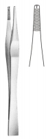 Toothed Dissecting 鉗子