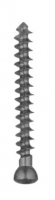 Orthopaedic Implants 整形外科器具