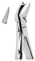 抜歯鉗子 With Anatomically Shaped Handle