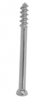 Orthopaedic Implants 整形外科器具