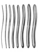 UTERINE DELATORS 医療器具