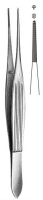 Toothed Dissecting 鉗子