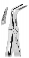 抜歯鉗子 With Anatomically Shaped Handle